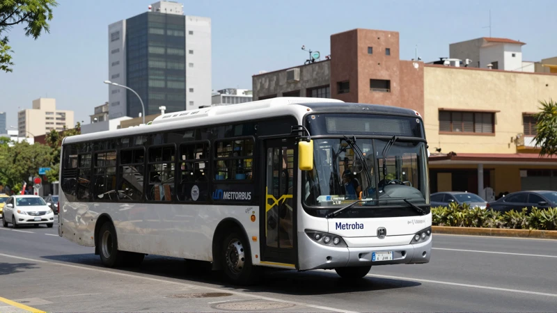 Metrobús en Hidalgo, luz brillante