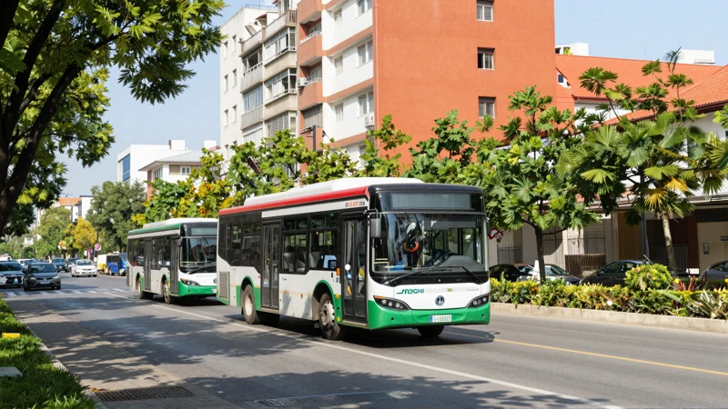 Árboles, arquitectura y color bajo el sol