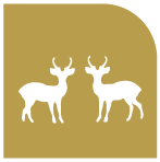 Parque de los Venados